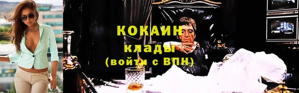 дмт Горняк