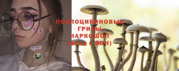 дмт Горняк