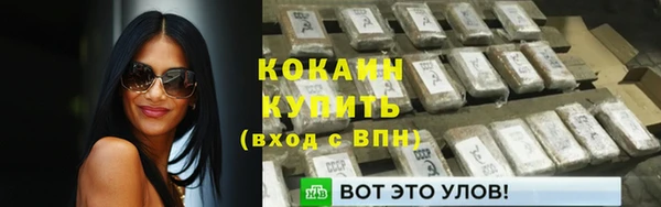 дмт Горняк