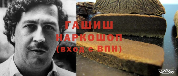 гашик Горно-Алтайск